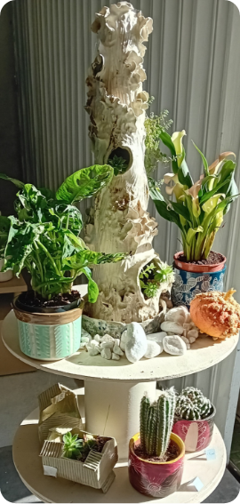 Pots plantes vertes