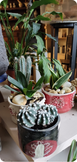 Cache pot