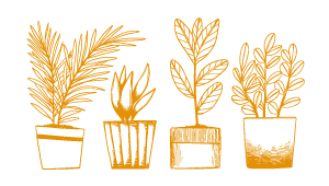 Dessin plantes pot ceramique artisanal