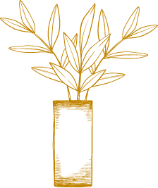 Dessin pot plante deco jardin