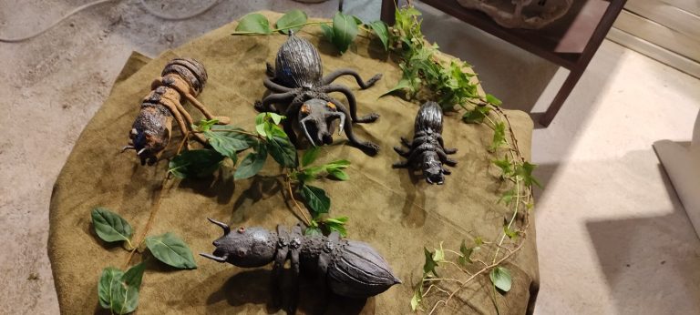 Fourmis