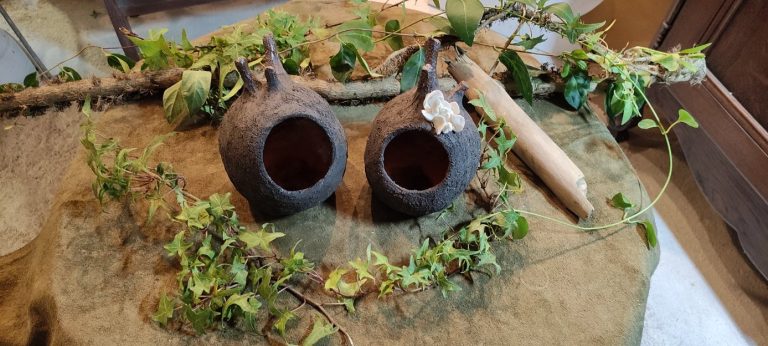 Pot de plantes à antennes