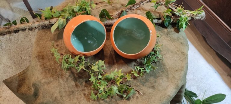 Pot pour plantes