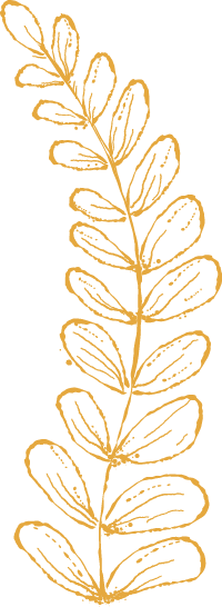 Sketched leaves yellow