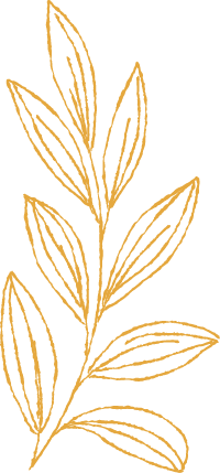 Sketched leaves yellow